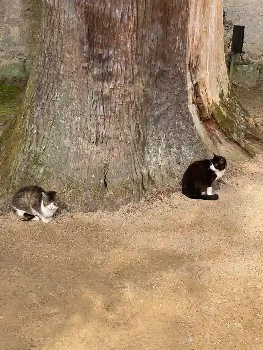 一乗寺(兵庫県)