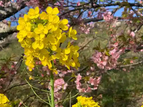 かっぱの寺 栖足寺の自然