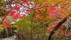 鍬山神社(京都府)