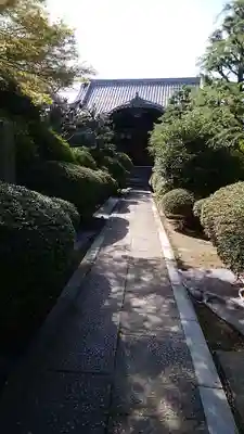 蓮光院の本殿・本堂