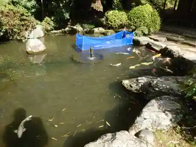 熊野大社(島根県)