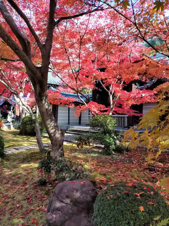 禅林寺(永観堂)(京都府)