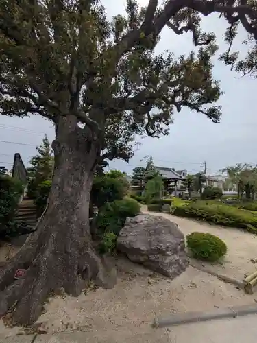 西蓮寺(東京都)