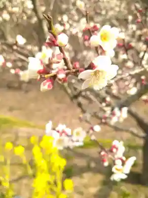 神前神社の自然