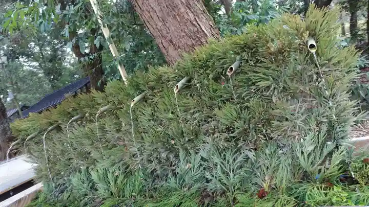 賀茂御祖神社(下鴨神社)(京都府)