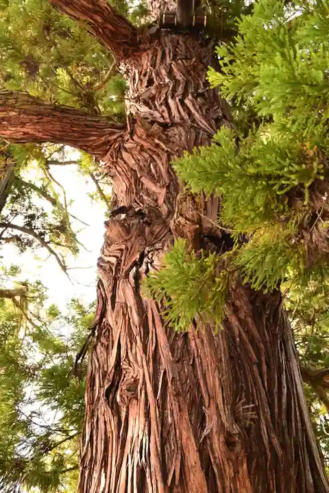 仁科神明宮(長野県)