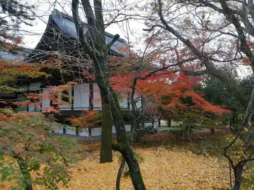 廣隆寺の庭園