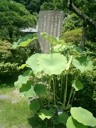光則寺のその他建物