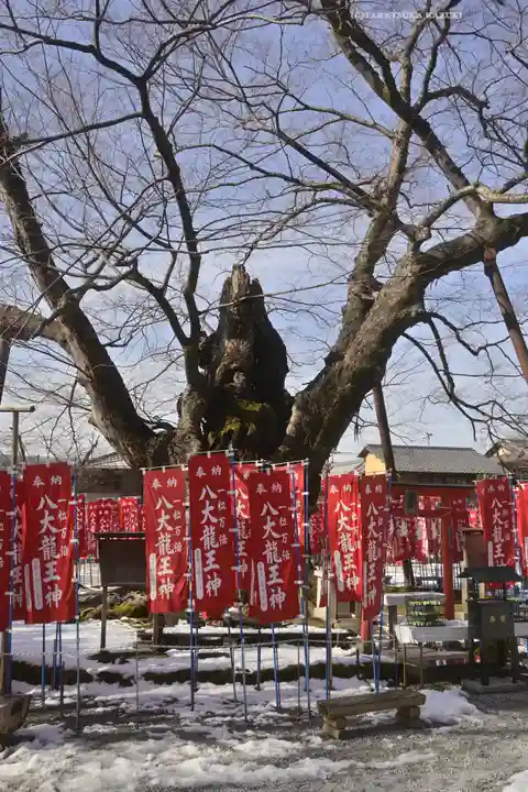 秩父今宮神社(埼玉県)