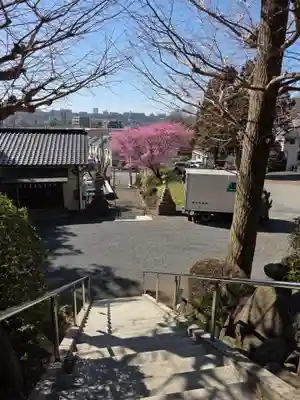 十二神社(東京都)