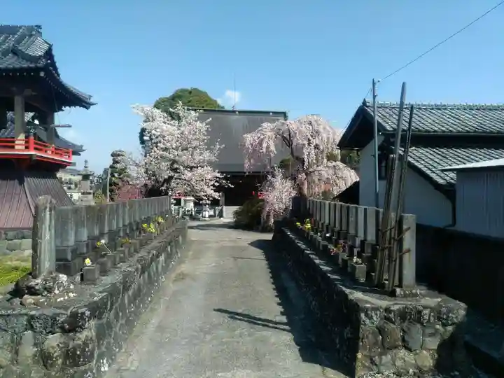 行善寺の本殿・本堂