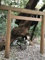 月夜見宮（豊受大神宮別宮）の鳥居