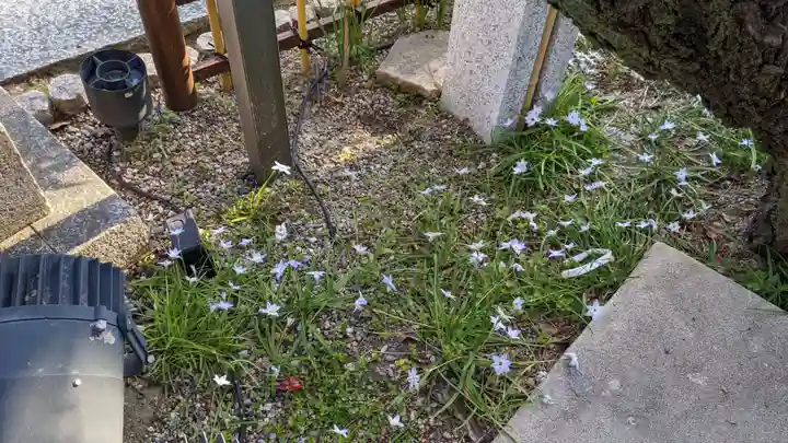 綱敷天満宮の自然