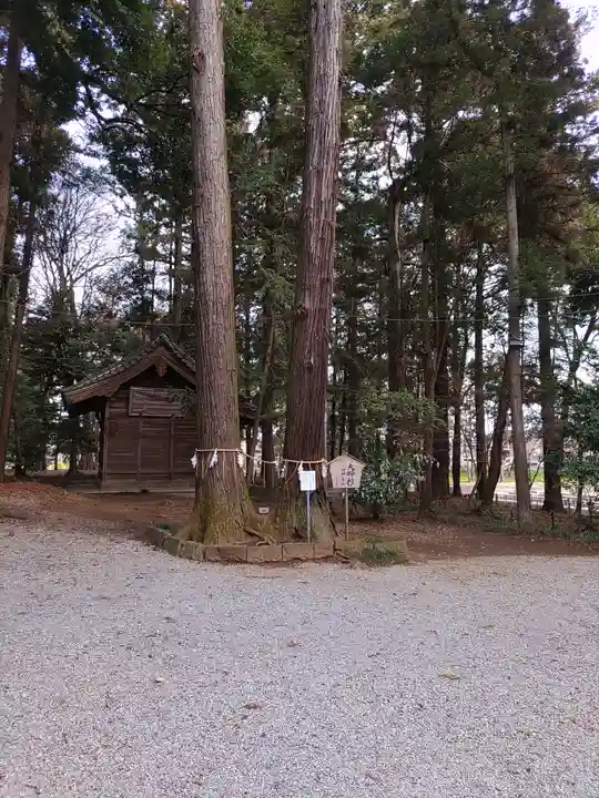 間々田八幡宮(栃木県)