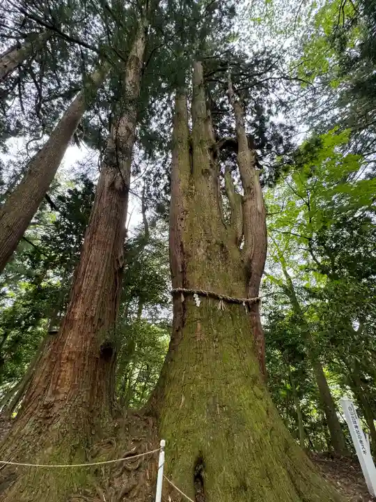 白山比咩神社(石川県)