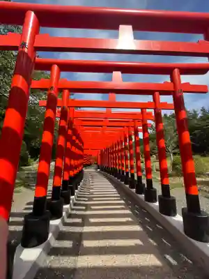 高山稲荷神社の鳥居