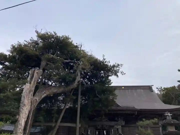 玉崎神社(千葉県)