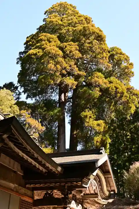 河内白王神社(高知県)