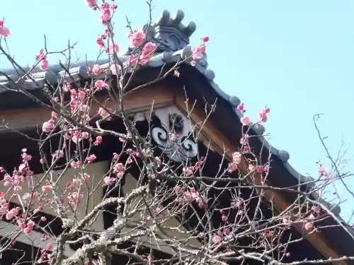 浄光明寺の自然