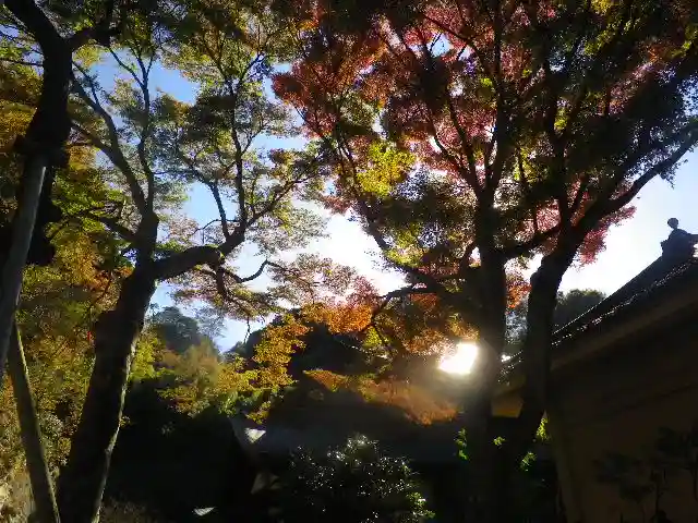 瑞泉寺のその他建物