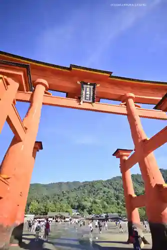 厳島神社(広島県)