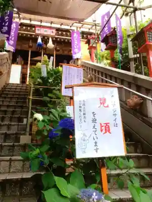 十番稲荷神社(東京都)