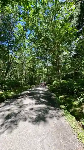 戸隠神社奥社(長野県)