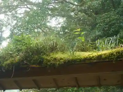 報国寺の山門・神門