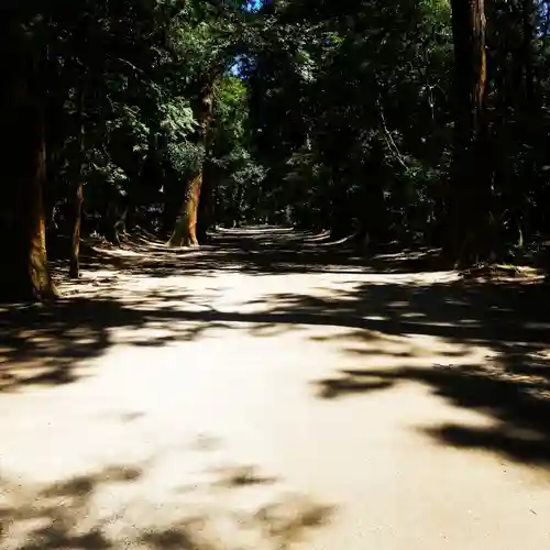 鹿島神宮の自然