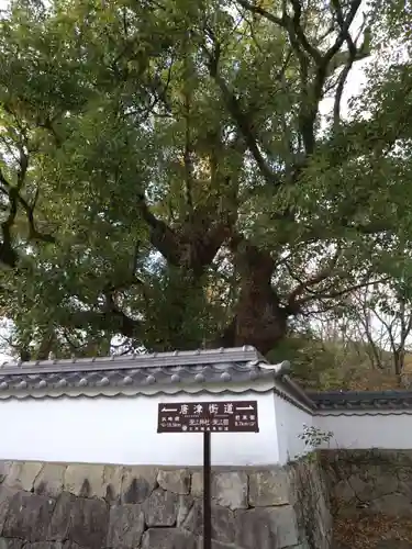 深江神社(福岡県)