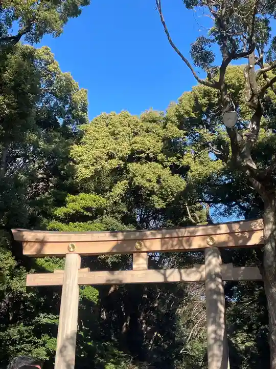 明治神宮(東京都)