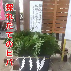 七重浜海津見神社(北海道)(2025年04月30日(水) 08時27分46秒投稿)