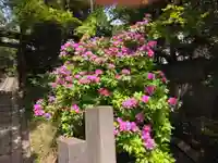 厳島神社(神奈川県)