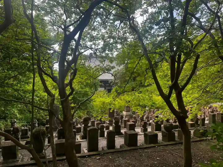 智積院の{uncategorized: "未分類", other: "その他", undefined: "問題あり", building: "その他建物", grave: "お墓", sacred_gate: "鳥居", guardian: "狛犬", statue: "像", buddha: "仏像", history: "歴史", nature: "自然", garden: "庭園", animal: "動物", pagoda: "塔", temizu: "手水舎", mountain_gate: "山門・神門", sanctuary: "本殿・本堂", subordinate: "末社・摂社", art: "芸術", scenery: "景色", jizo: "地蔵", ema: "絵馬", goshuin: "御朱印", omikuji: "おみくじ", items: "授与品その他", amulet: "お守り", goshuincho: "御朱印帳", eats: "食事", festival: "お祭り", votive_dance: "神楽", shichigosan: "七五三参", wedding: "結婚式", experience: "体験その他", initially: "初詣", around: "周辺", anti_infection: "感染症対策"}