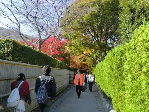 野宮神社(京都府)