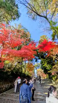 光明寺（粟生光明寺）(京都府)