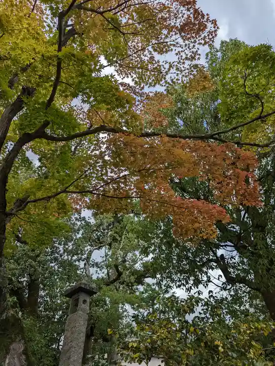 神光院(京都府)