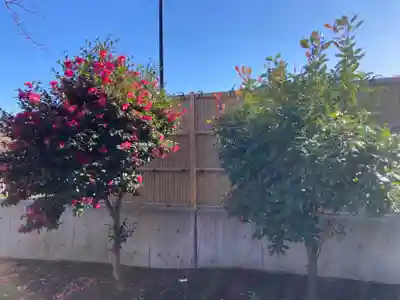 八杉神社(神奈川県)