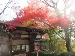 松ヶ崎大黒天 妙圓寺（妙円寺）(京都府)