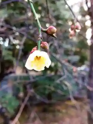 布多天神社(東京都)
