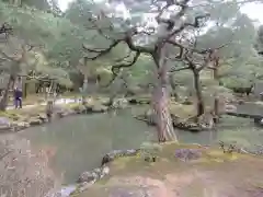 慈照寺（慈照禅寺・銀閣寺）(京都府)