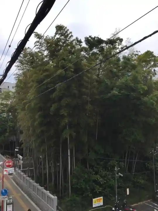 不知森神社の自然