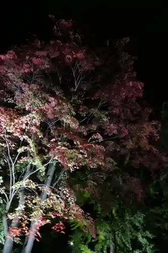 北広島市総鎮守　廣島神社(北海道)