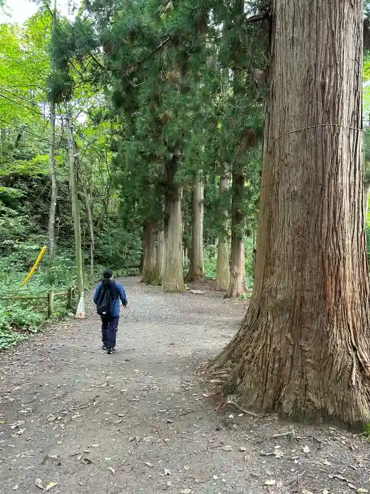 十和田神社の{uncategorized: "未分類", other: "その他", undefined: "問題あり", building: "その他建物", grave: "お墓", sacred_gate: "鳥居", guardian: "狛犬", statue: "像", buddha: "仏像", history: "歴史", nature: "自然", garden: "庭園", animal: "動物", pagoda: "塔", temizu: "手水舎", mountain_gate: "山門・神門", sanctuary: "本殿・本堂", subordinate: "末社・摂社", art: "芸術", scenery: "景色", jizo: "地蔵", ema: "絵馬", goshuin: "御朱印", omikuji: "おみくじ", items: "授与品その他", amulet: "お守り", goshuincho: "御朱印帳", eats: "食事", festival: "お祭り", votive_dance: "神楽", shichigosan: "七五三参", wedding: "結婚式", experience: "体験その他", initially: "初詣", around: "周辺", anti_infection: "感染症対策"}