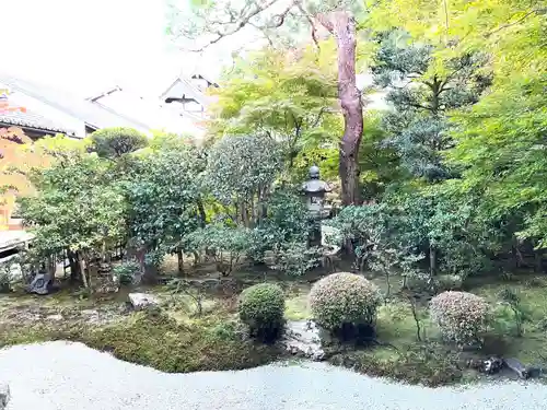 二尊院(京都府)