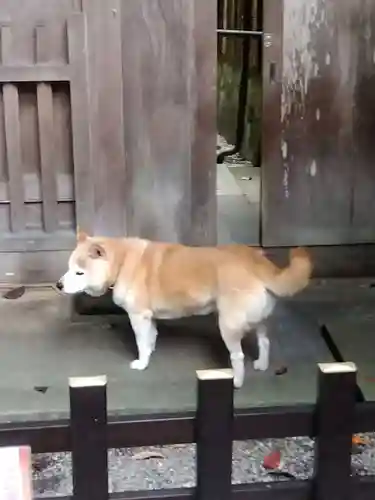 能満院(奈良県)