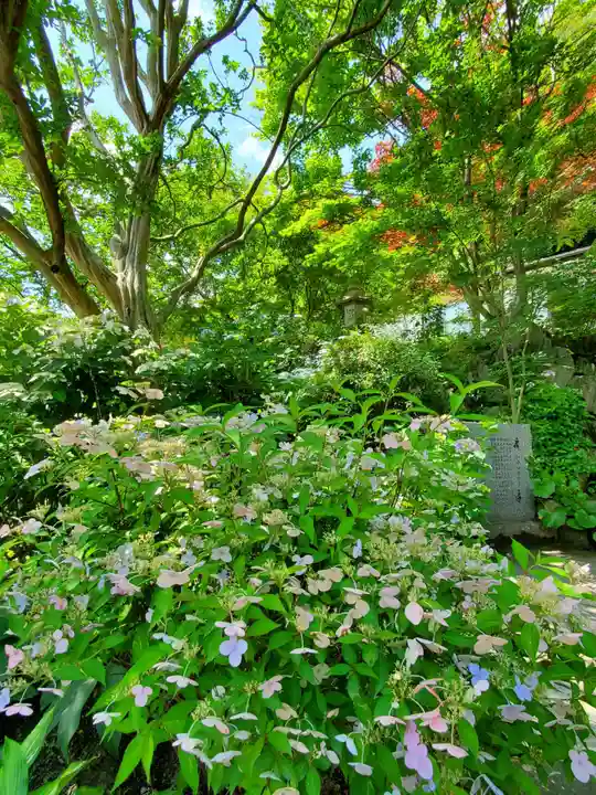 長命寺(福島県)