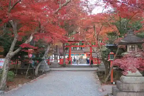 大原野神社の景色