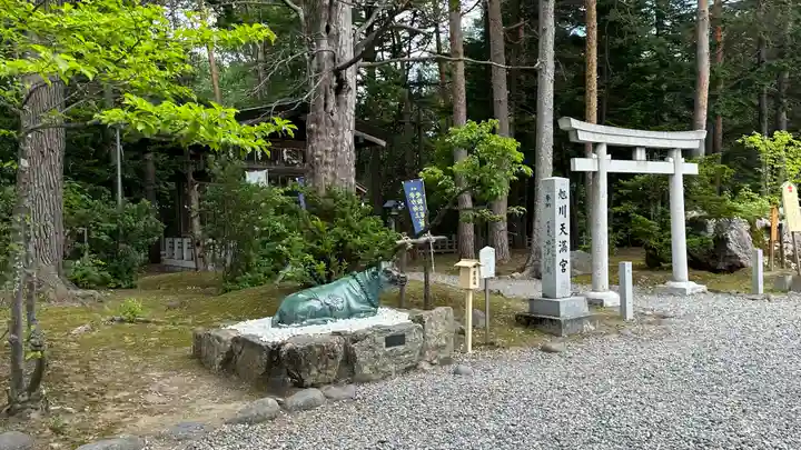 旭川天満宮の手水舎