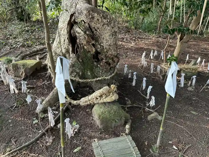 六所神社の{uncategorized: "未分類", other: "その他", undefined: "問題あり", building: "その他建物", grave: "お墓", sacred_gate: "鳥居", guardian: "狛犬", statue: "像", buddha: "仏像", history: "歴史", nature: "自然", garden: "庭園", animal: "動物", pagoda: "塔", temizu: "手水舎", mountain_gate: "山門・神門", sanctuary: "本殿・本堂", subordinate: "末社・摂社", art: "芸術", scenery: "景色", jizo: "地蔵", ema: "絵馬", goshuin: "御朱印", omikuji: "おみくじ", items: "授与品その他", amulet: "お守り", goshuincho: "御朱印帳", eats: "食事", festival: "お祭り", votive_dance: "神楽", shichigosan: "七五三参", wedding: "結婚式", experience: "体験その他", initially: "初詣", around: "周辺", anti_infection: "感染症対策"}